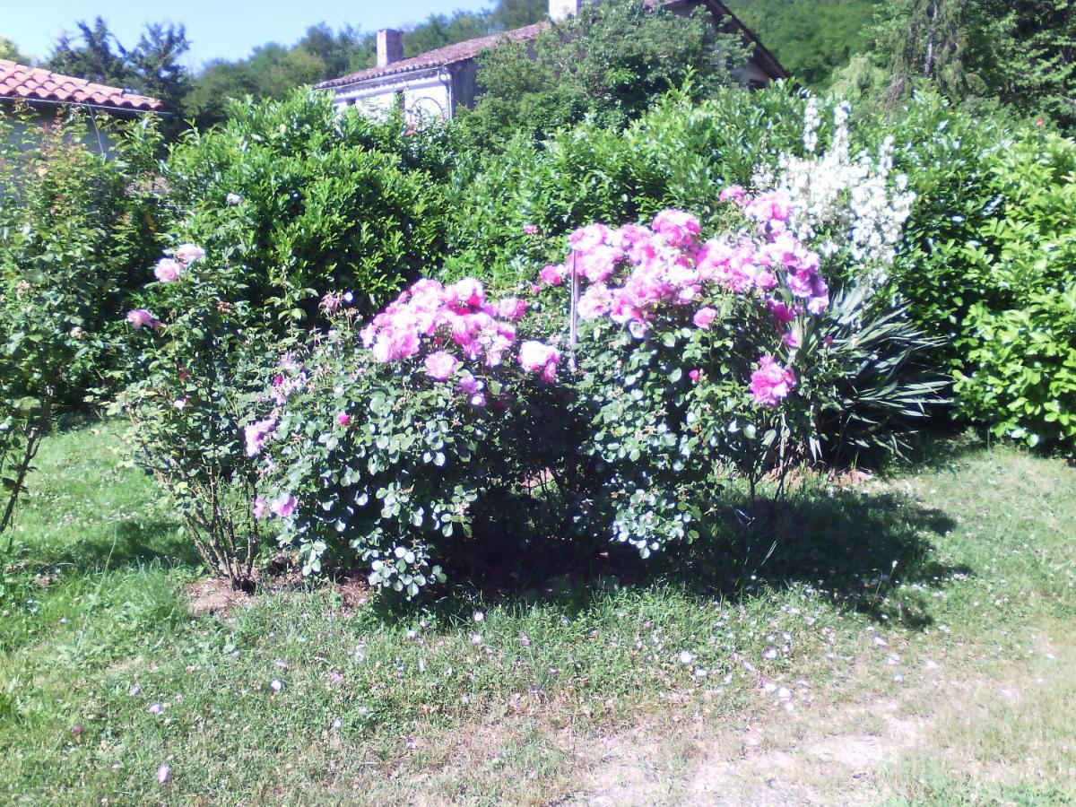 l'Ancien Patronage Hostal Caumont-sur-Garonne Exterior foto