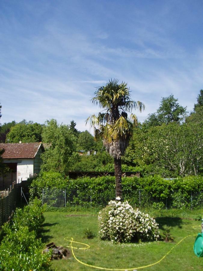 l'Ancien Patronage Hostal Caumont-sur-Garonne Exterior foto